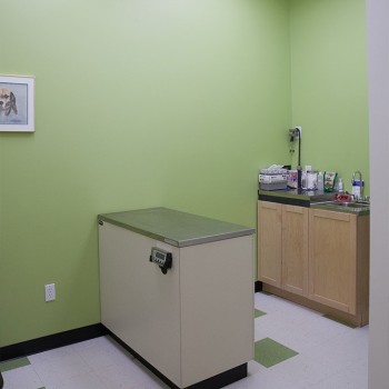 Veterinary Exam Room