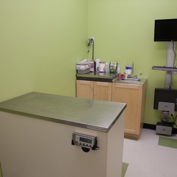 One of our exam rooms